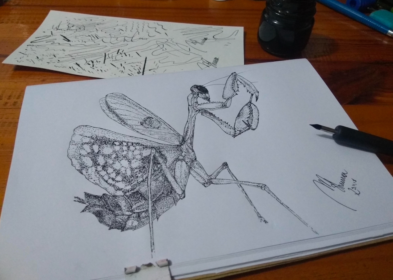 Insect art header