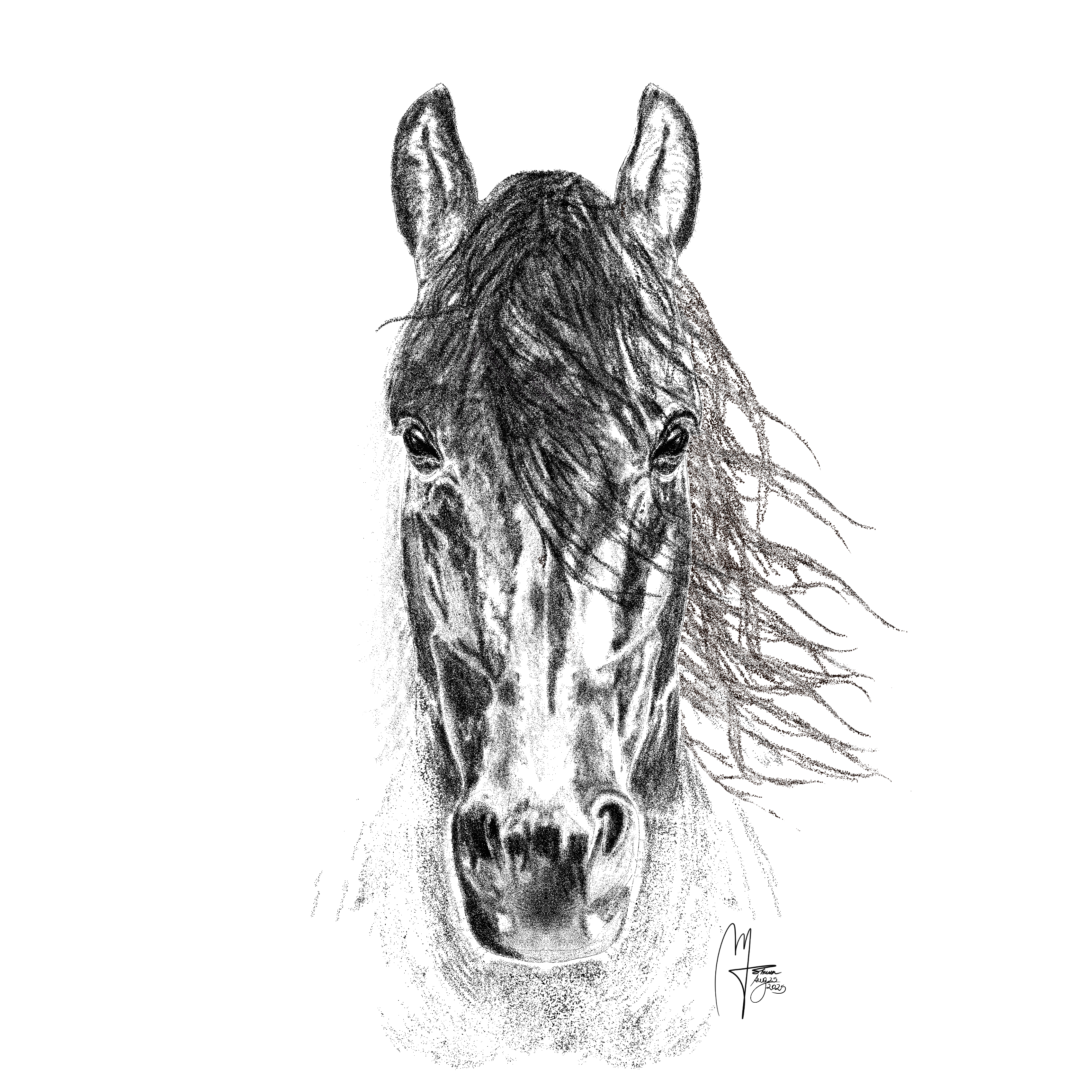 Field specimen study