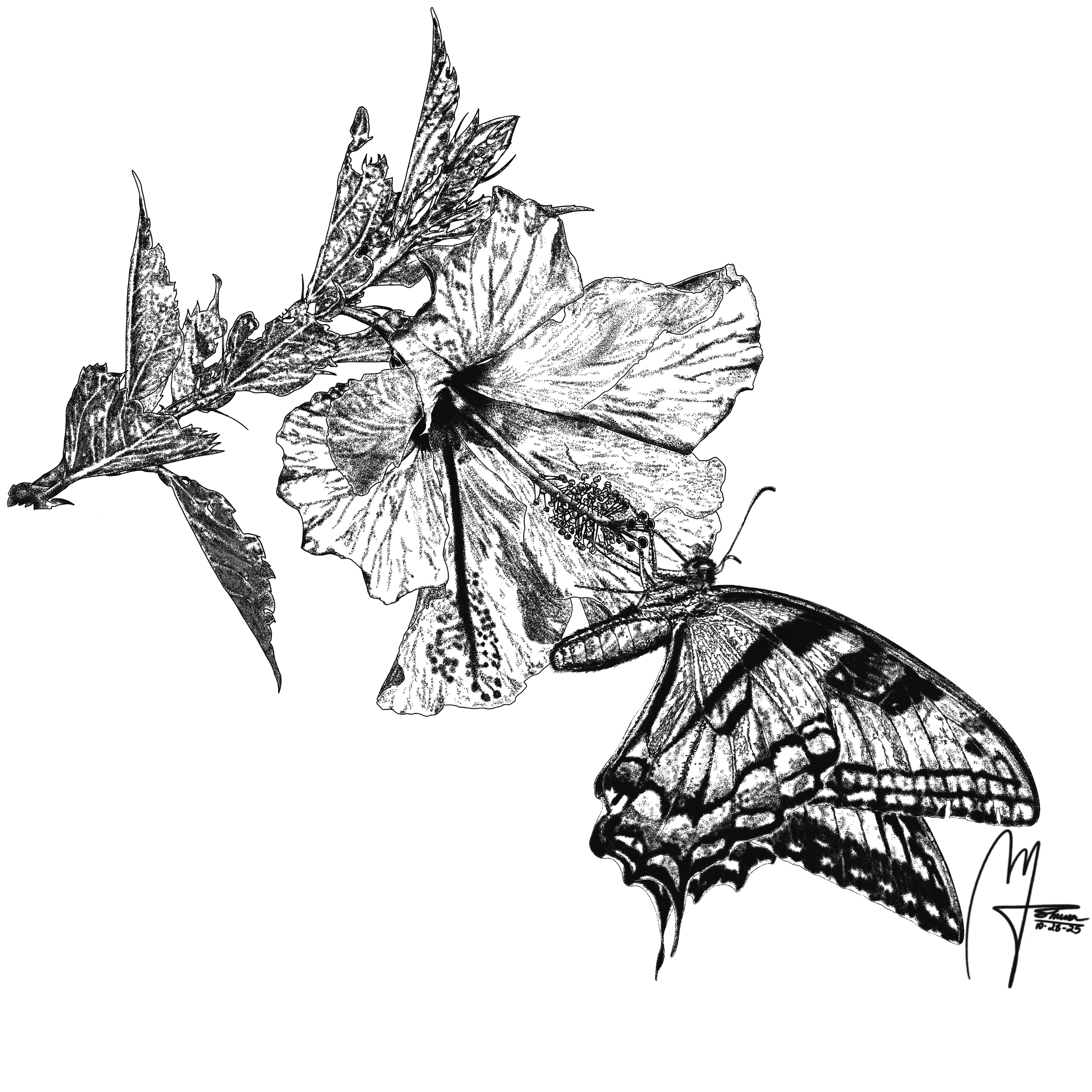 Field specimen study