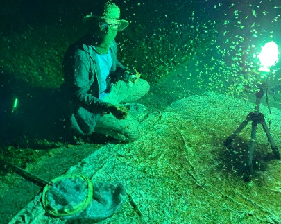 Inside a cloud of caddisflies