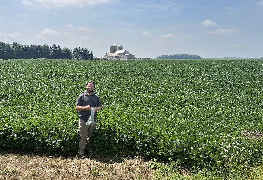 Collecting spider mites
